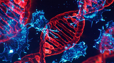 Особенности генетического програмного обеспечения и механизмов их проявления у здоровых и онкологических клеток