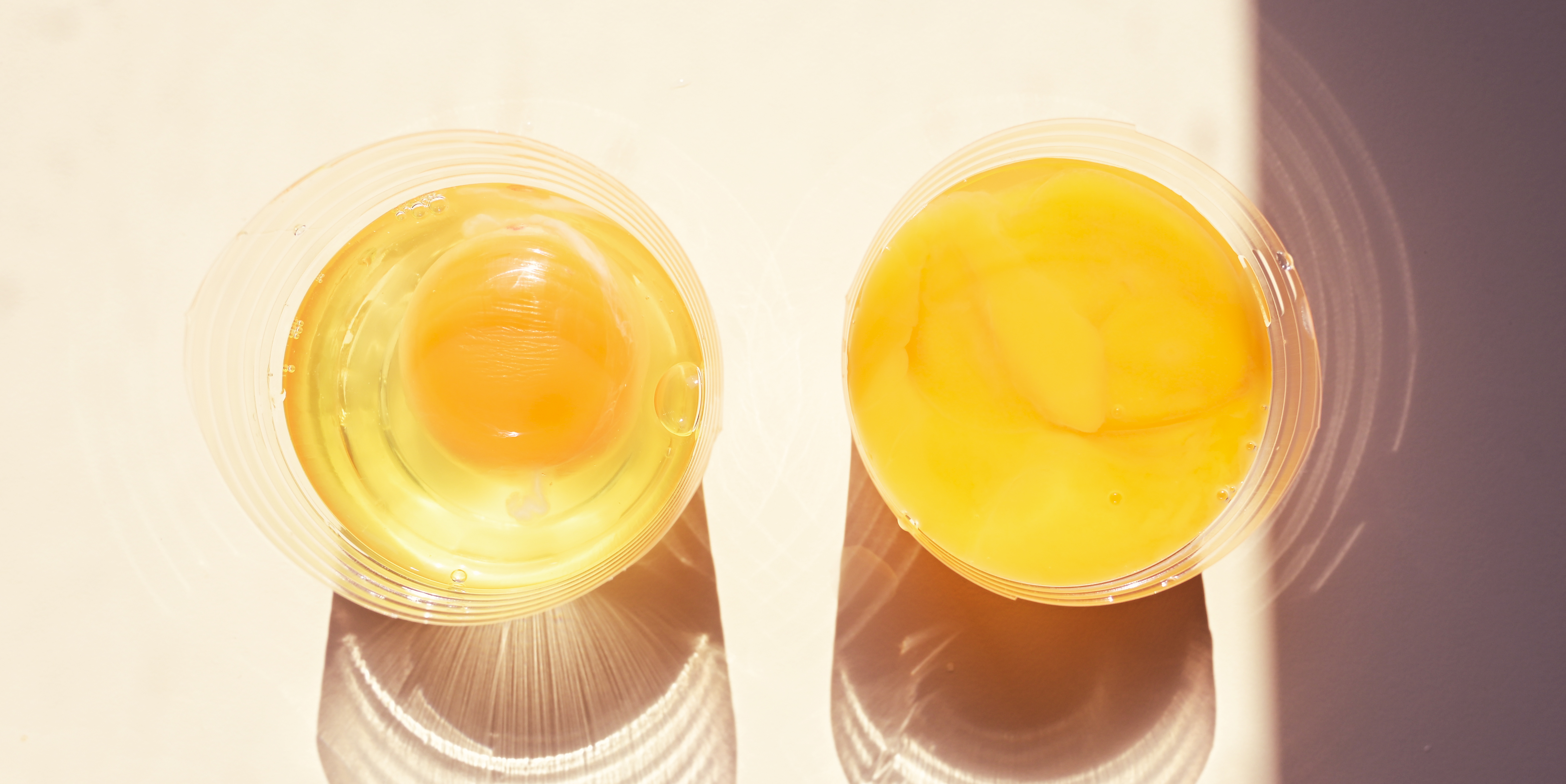 Яйца – овотерапия, лучшая диета, которая сдерживает старение