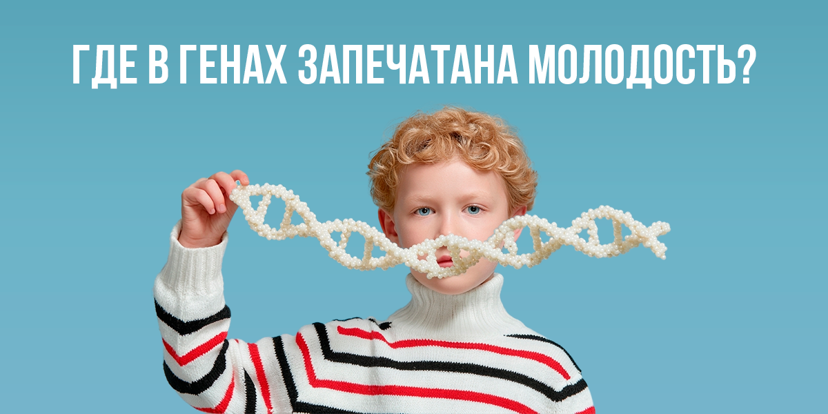 Эпигенетические механизмы молодости и старения клеток