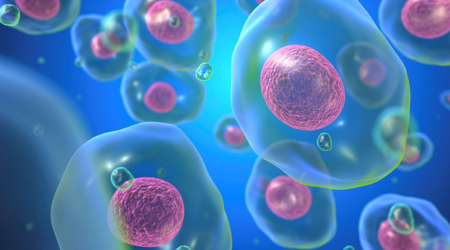 Информационный план существования клеток и способы его корректировки в онкоклетках
