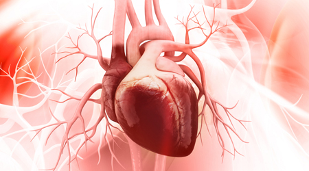 Гипертония, хроническая усталость, стенокардия, ишемическая болезнь сердца -  как правильно лечить и устранять их первопричины