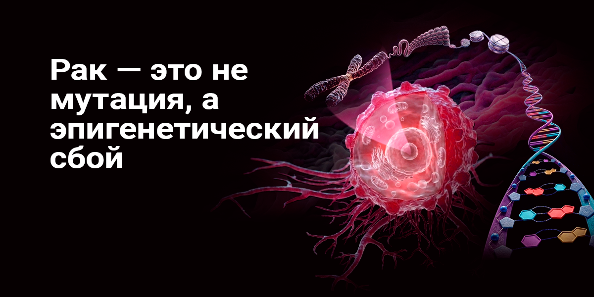 Рак — это не мутация, а перекос в эпигеномных регулировках-настройках. Принципы коррекции настроек. Роль ИФР-1 при раке и сенесценте