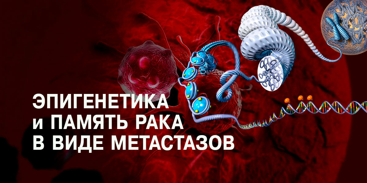 Что такое онкологический КЭШ, как он способствует метастазам и способ его сброса?