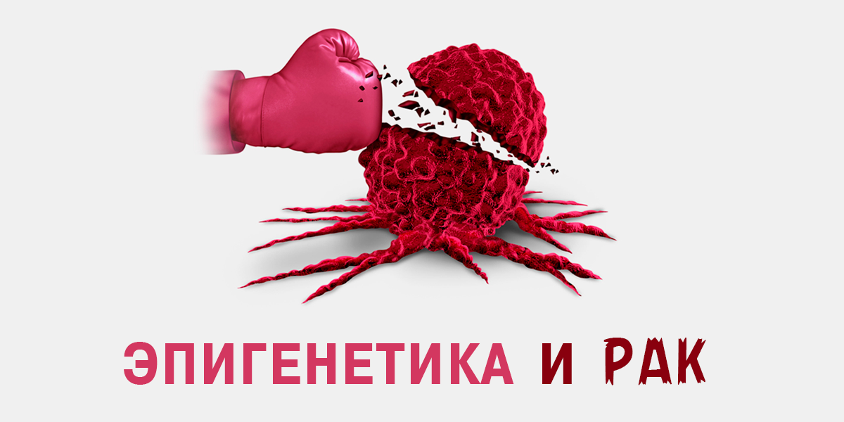 Способы противодействия на эпигеномном уровне прогрессированию раковых и сенесцентных клеток